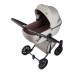 Детская коляска Anex e/type 2 в 1 2023 Eden