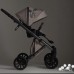 Детская коляска Anex e/type 2 в 1 2023 Eden