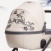 Детская коляска Anex e/type 2 в 1 2023 Eden