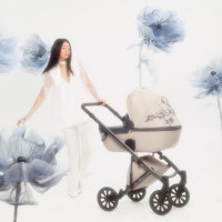 Детская коляска Anex e/type 2 в 1 2023 Eden