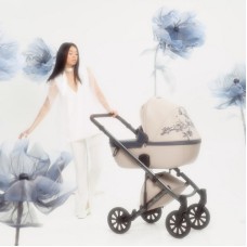 Детская коляска Anex e/type 2 в 1 2023 Eden