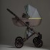 Детская коляска Anex e/type 2 в 1 2023 Wilson