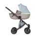 Детская коляска Anex e/type 2 в 1 2023 Wilson