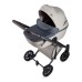 Детская коляска Anex e/type 2 в 1 2023 Eden