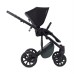Детская коляска Anex m/type PRO 2 в 1