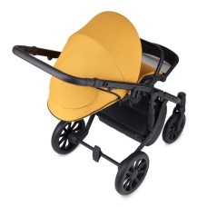 Детская коляска Anex m/type 2 в 1